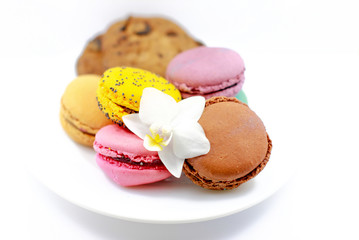 Macaroon isolated on the plate