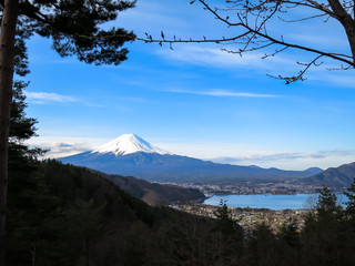 View of Fuji mountain with white snow top, kawaguchiko lake and blue sky background through evergreen trees