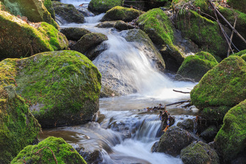 Fototapeta na wymiar stream flowing between the stones