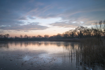 Stunning colorful Winter sunrise over reeds on lake in Cotswolds in England