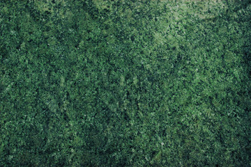 Texture of green marble