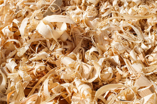 HolzspäneBilder StockFotos & Videos. Adobe Stock
