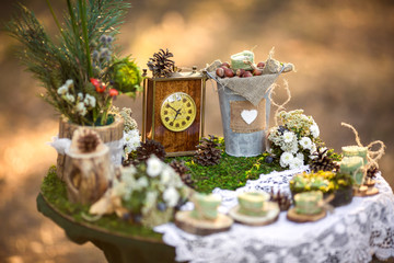 Table with decoration elements in rustic style, clock near bucket with nuts on moss. Idea for wedding decoration