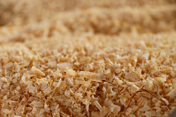 Holzspäne 