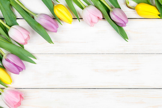 Bunch of pink and yellow tulips lying on a white wooden background