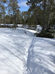 Hike in the snow