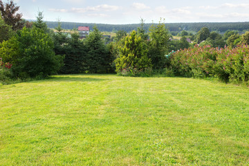 backyard landscape, lawn and trees