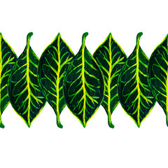 Green croton plant .Line from leaves seamless pattern.Painted floral background. © Kolomiiets Viktoriia