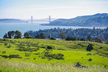 Golden Gate Bridge Over Countryside