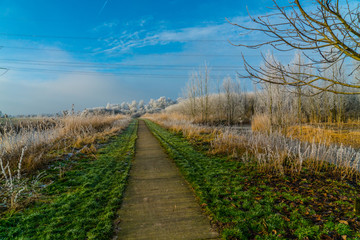 Fototapeta na wymiar Winter view on Dutch landscape in the Flevoland provence 