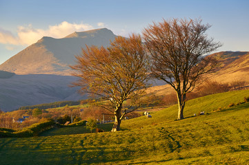 Evening view of Beinn Tarsuinn from the direction of Blackwaterfoot