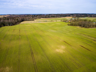 Fototapeta na wymiar drone image. aerial view of rural area with freshly green fields