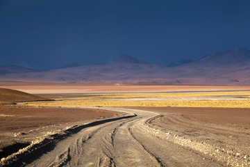 Fototapeta na wymiar High Altiplano plateau, Eduardo Avaroa Andean Fauna National Reserve, Bolivia