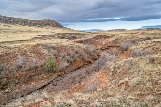 dry creek at Colorado foothills in springtime