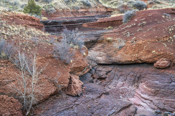 dry creek at Colorado foothills in springtime