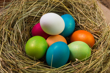 Naklejka na ściany i meble Nest with Easter eggs