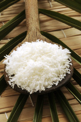 Cocos nucifera 코코넛 Կոկոսյան արմավենի Noce di cocco Kokospalme Kókuszpálma  Kokosova palma नारियल جوز الهند Coco Coconut
