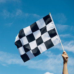 checkered race flag in hand.
