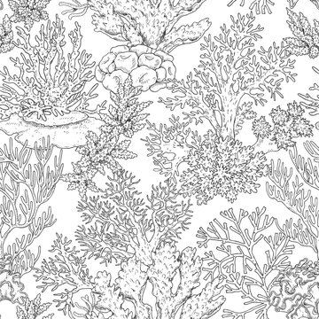 Seamless Pattern with Corals