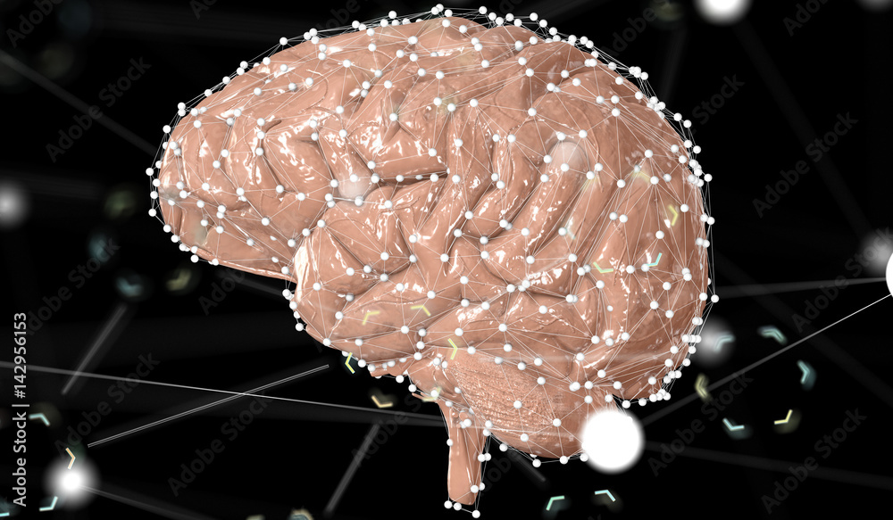 Poster brain net