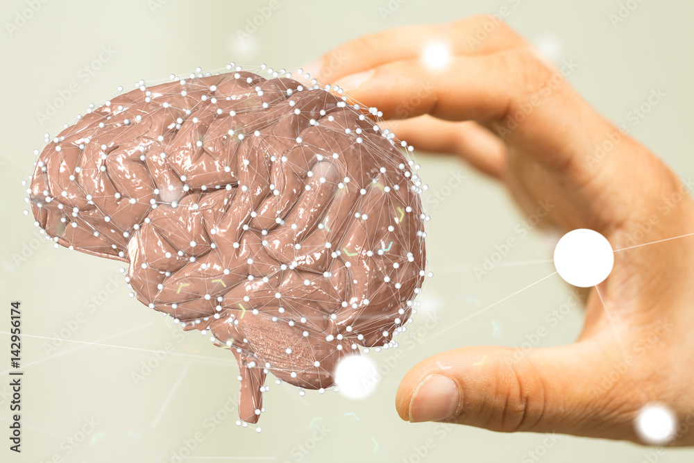 Poster brain net