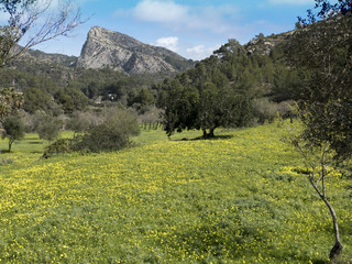 Blick auf den Esclop. Ein Berg in der Serra de Tramuntana auf Mallorca, Balearen in Spanien