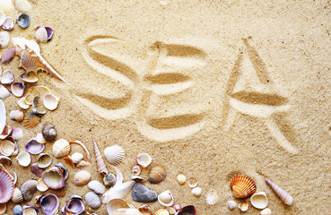 Sea, text on sand. Seashells on sand. Sea summer vacation background with space for the text