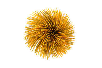 Obraz premium Bunch of various raw italian pasta