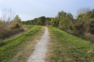 Fototapeta na wymiar Green countryside path, hill landscape, among trees