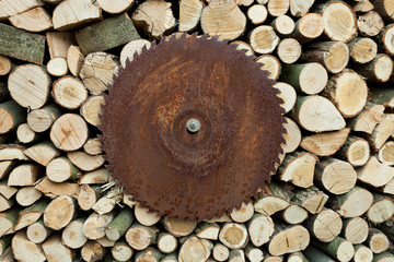 Firewood Stack and buzz saw