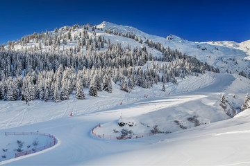 Fototapeta na wymiar Trees and skiing slopes covered by fresh new snow in Tyrolian skiing resort Zillertal arena, Austria.