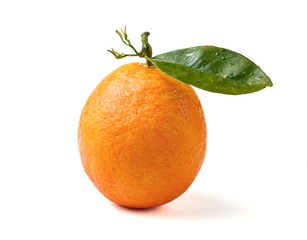 Orange isolated on a white background