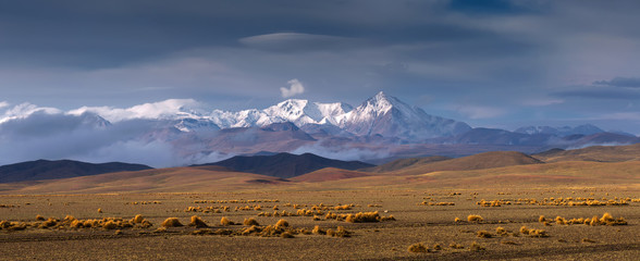 High Altiplano plateau, Eduardo Avaroa Andean Fauna National Reserve, Bolivia - obrazy, fototapety, plakaty