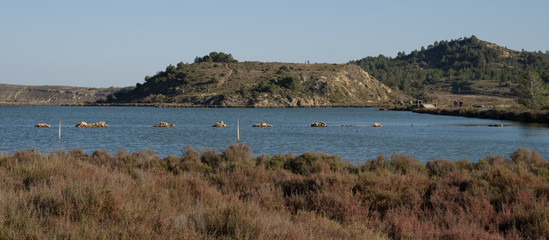 Etangs de Peyriac de Mer