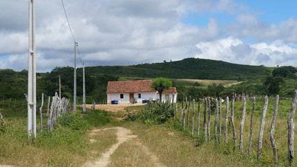Fototapeta premium Viagem ao Nordeste