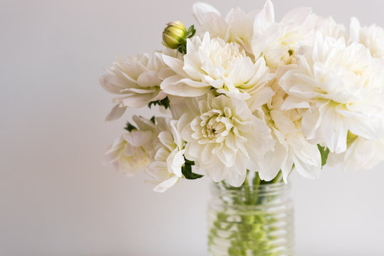 Close up of white dahlias in glass jar against neutral background (selective focus)