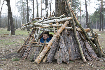 In the spring in a pine forest, the boy built a hut of sticks.