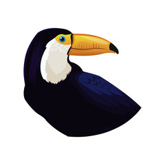 toucan bird icon over white background. colorful design. vector illustration