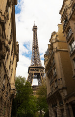 Fototapeta na wymiar The Eiffel tower , Paris, France.