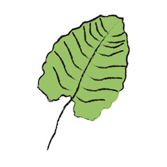 Tropical leaf icon over white background. vector illustration