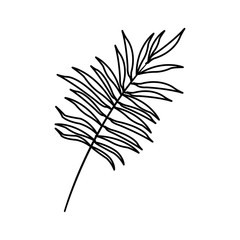 Tropical leaf icon over white background. vector illustration