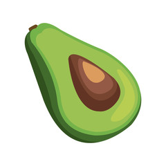 avocado vegetable icon over white background. colorful design. vector illustration