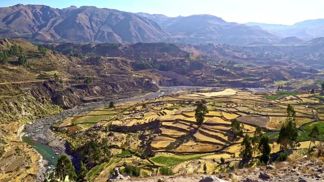 Colca Canyon in the Andean Mountains Peru