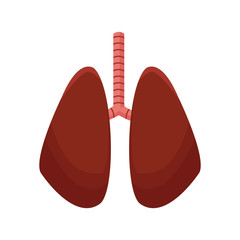 human lungs organ icon over white background. colorful design. vector illustration