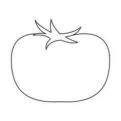 tomato vegetable icon over white background vector illustration