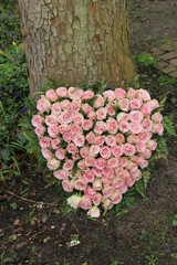 Sympathy flowers near a tree