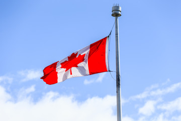 Canadian Flag 