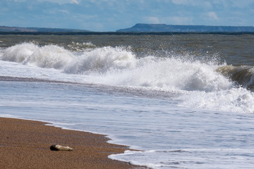 Jurassic Coastline at lyme Regis