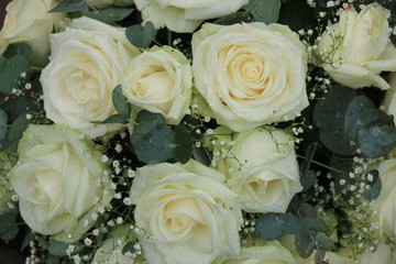 White wedding roses