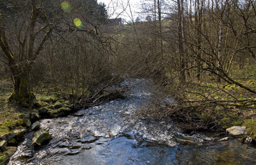Naturlandschaft im Nationalpark Eifel